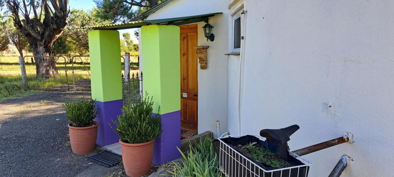 Purple House B&B Smithfield Экстерьер фото